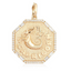Astrology Medallion