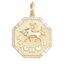 Astrology Medallion